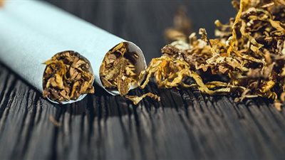 تدخين التبغ من مسببات السرطان بنسبة 90%.. شاهد