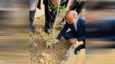 مدارس الإسكندرية تطلق مبادرة 