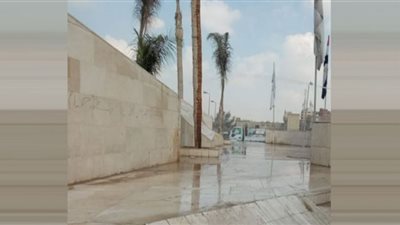 تكثيف أعمال نظافة منطقة شق الثعبان وتشجير ومراجعة وصيانة أعمدة الإنارة بحي طره