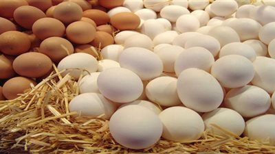 أسعار البيض في المزارع والأسواق