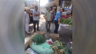 إزالة 100 حالة إشغال بالدلنجات في البحيرة