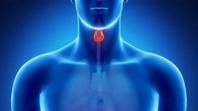 أطعمة يجب تناولها لمرضى قصور الغدة الدرقية