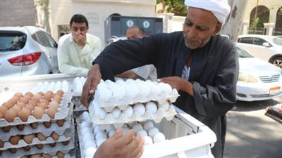 البلدي بـ87 جنيهًا..أسعار البيض بمنافذ الزراعة