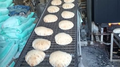 محافظ الدقهلية يحيل 95 مخالفة تموينية متنوعة إلى النيابة العامة