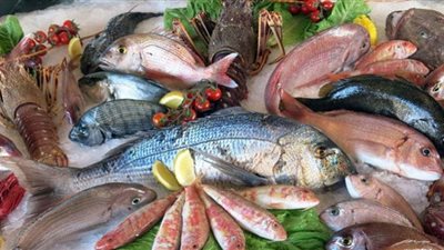 أسعار الأسماك اليوم الأحد بداية العام الميلادي الجديد بسوق العبور