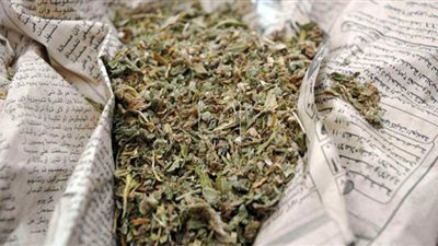 الداخلية تضبط شحنة بانجو بـ4 ملايين جنيه في السويس