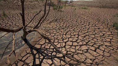 الجفاف كارثة تهدد العالم .. وتهدد بالمجاعة لنصف سكان القارة