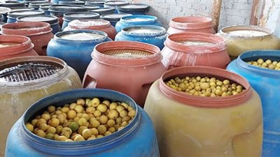 ضبط 24 طن مخللات فاسدة داخل مصنع بالقليوبية