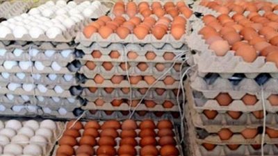 أسعار البيض في المزارع والأسواق اليوم