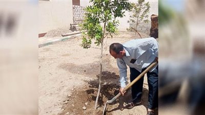 زراعة 6150 شجرة متنوعة بجهينة وتجهيز مساحة 5 أفدنة لإقامة حديقة مركزية | صور