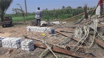 إزالة 200 حالة تعد على الأراضي ببني سويف