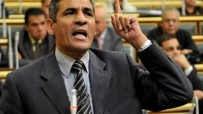 برلمانية الوفد تتحفظ على مشروعي قانون 