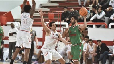 اليوم.. سلة الزمالك تواجه الجياد في دوري المرتبط