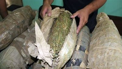 ضبط 97 كيلو بانجو في مداهمات على دواليب المخدرات