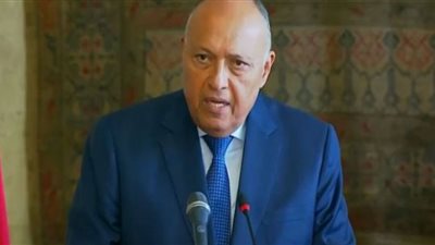 الخارجية: توجيهات لبعثاتنا لملاحقة آثارنا المهربة