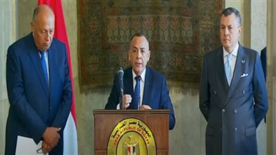 مصر لن تفرط في آثارها المهربة للخارج (شاهد)
