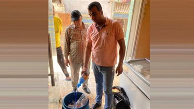 غلق 64 منشأة غير مرخصة وتحرير 140 محضر فى حملة تفتيشية بالدقهلية