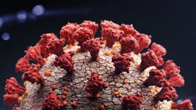 ظهور متحور جديد لفيروس كورونا في بريطانيا