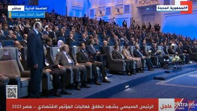 السيسي: أية مشكلة داخل الحدود المصرية هنخلصها