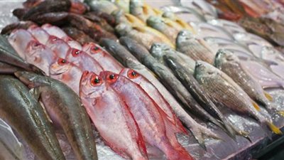 أسعار الأسماك اليوم