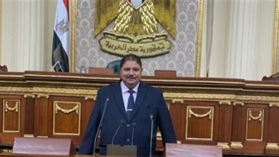 قرارات العفو الرئاسي عن عشرات المحبوسين انتصار للدولة المدنية والجمهورية الجديدة