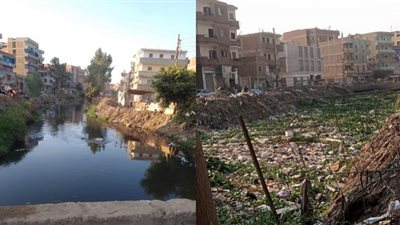 الري تستجيب لشكاوى المواطنين وتزيل مخلفات ترعة شمبارة بالشرقية (صور)