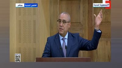 6 مليارات جنيه تعويضات أهالي جزيرة الوراق (فيديو)