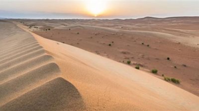 سيول صحراء الربع الخالي تتصدر جوجل