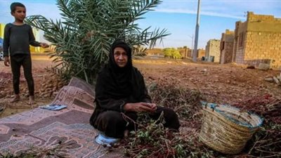 تسكنها نون النسوة.. حكاية قرية بأسوان لا تعرف الرجال