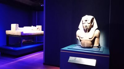 افتتاح معرض 