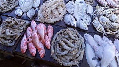 تراجع الجمبري.. أسعار الأسماك اليوم الإثنين بالأسواق
