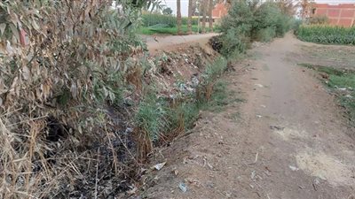 جريمة تهلك 400 فدان.. دفن ترعة أبو غالي بالقمامة والمخلفات ( شاهد )