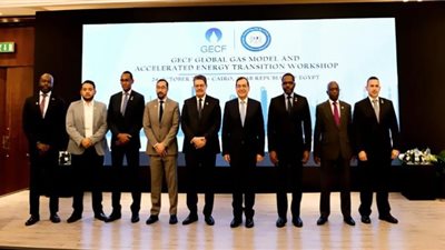 الملا يؤكد أهمية التعاون بين مصر ومنتدى الدول المصدرة للغاز