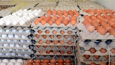أسعار البيض اليوم في الأسواق المحلية