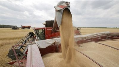 مغادرة سفينتين تحملان زيت عباد الشمس وقمح من الموانئ الأوكرانية