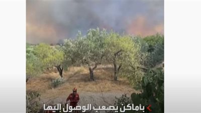 الأمطار تساعد الجيش على إطفاء حرائق إسبانيا (شاهد)