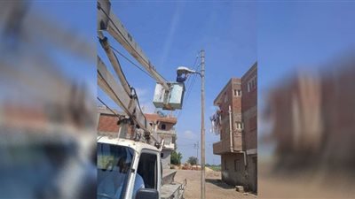 تكثيف حملات زراعة الأشجار المثمرة وخفض إنارة أعمدة الكهرباء بالشرقية