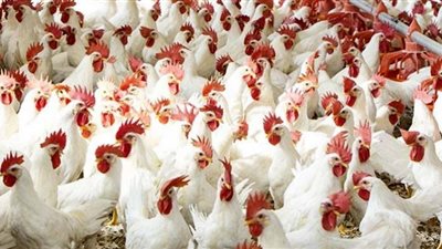 احتقان في مواقع التواصل بسبب 