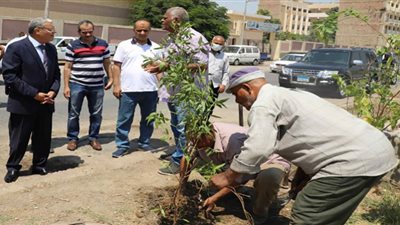 محافظ المنيا يشهد زراعة عدد من الأشجار