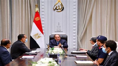 السيسي يتابع مشروعات الاستصلاح الزراعي بالدلتا الجديدة والصعيد