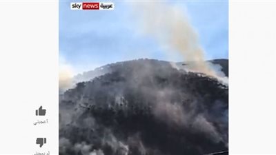 حريق ضخم في لبنان (شاهد)