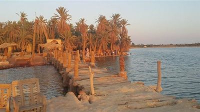 جفاف جزيرة الأحلام .. الري تكشف الحقيقة