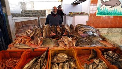 أسعار الأسماك اليوم بالأسواق المصرية
