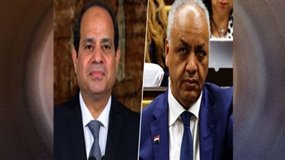 السيسي يحقق الأمل لأهل الصعيد بالإنجاز لا بالكلام.. فيديو