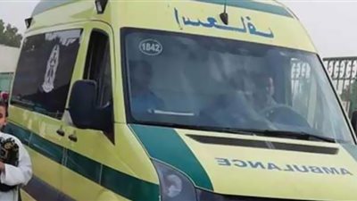 عاطل ينهي حياة مسن بسلاح أبيض في الوراق