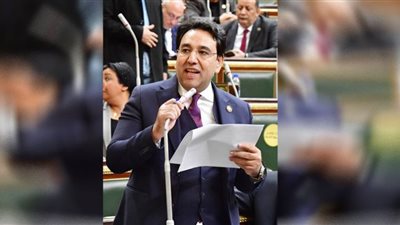 النائب أيمن محسب يوجه سؤالا لوزير التموين بشأن التخفيضات الوهمية في الأوكازيون