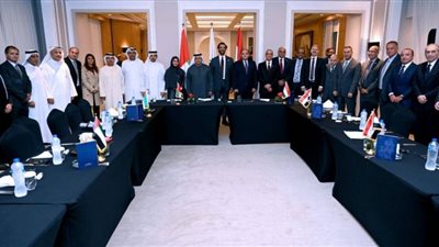 مباحثات مصرية إماراتية لتعزيز التعاون الاقتصادي والاستثماري بين البلدين