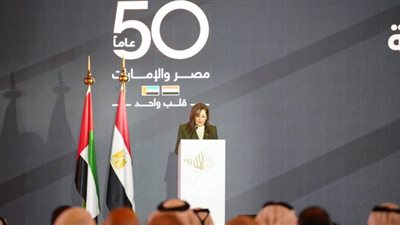 العلاقات المصرية الإماراتية.. 50 عامًا من التعاون المثمر ومواجهة الأزمات