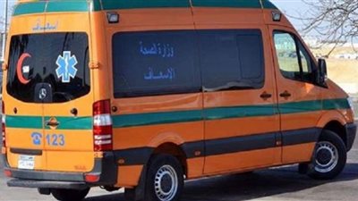 إصابة 14 شخصا في انقلاب سيارة بالطريق الصحراوي الغربي في أسيوط