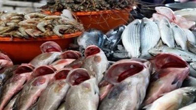 أسعار السمك اليوم السبت في سوق العبور